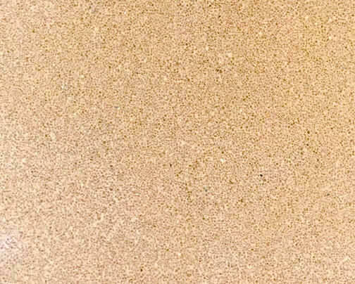 1720 SAND
